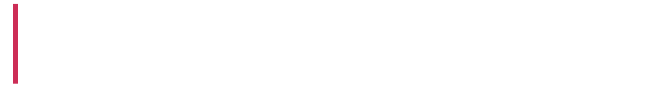 rtx-duo-logo